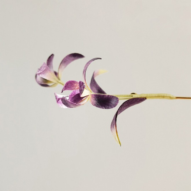 Orchid Intangible Cultural Heritage Velvet Flower Brooch
