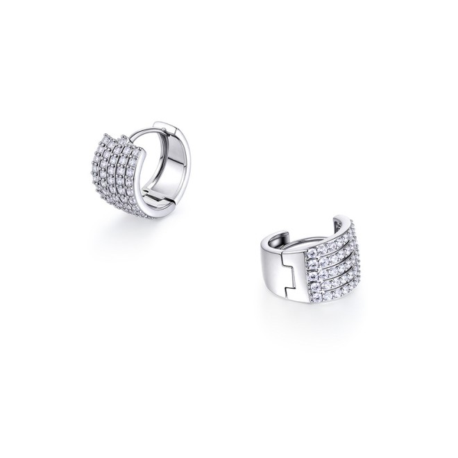 Shining Crystal Light Luxury Style Earrings