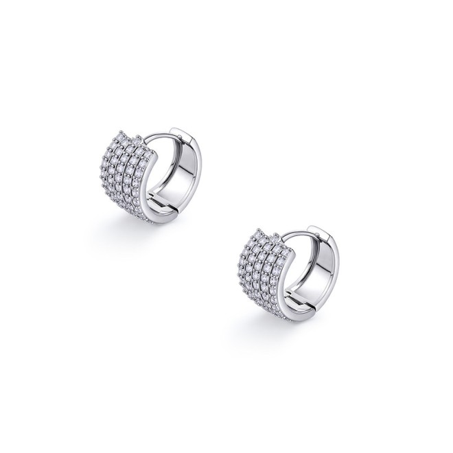 Shining Crystal Light Luxury Style Earrings