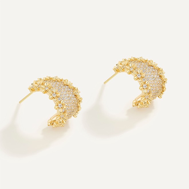 Semi-Circle Design S925 Silver Needle Earrings