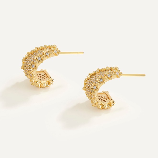 Semi-Circle Design S925 Silver Needle Earrings