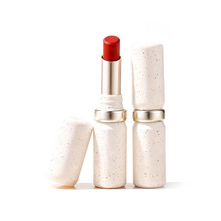 Waterproof Long-Lasting Non-Fading Smooth Lipstick