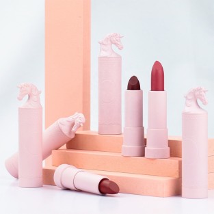 Create Your Own Solid Lipstick Matte Waterproof Lipstick