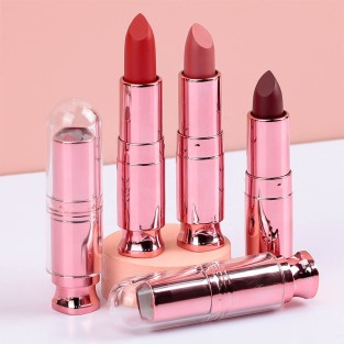 Red Matte Velvet Waterproof Lipstick
